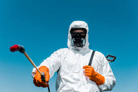 Reliable El Macero, CA Pest control Solutions